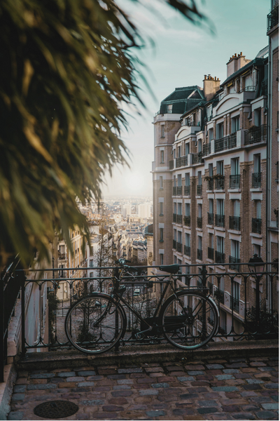 Montmartre District Overlook