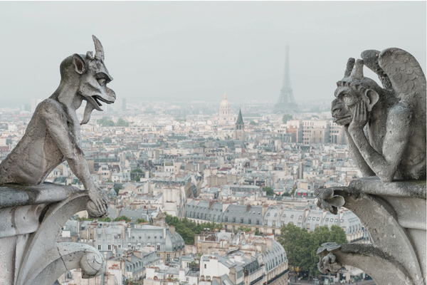 Paris Skyline View